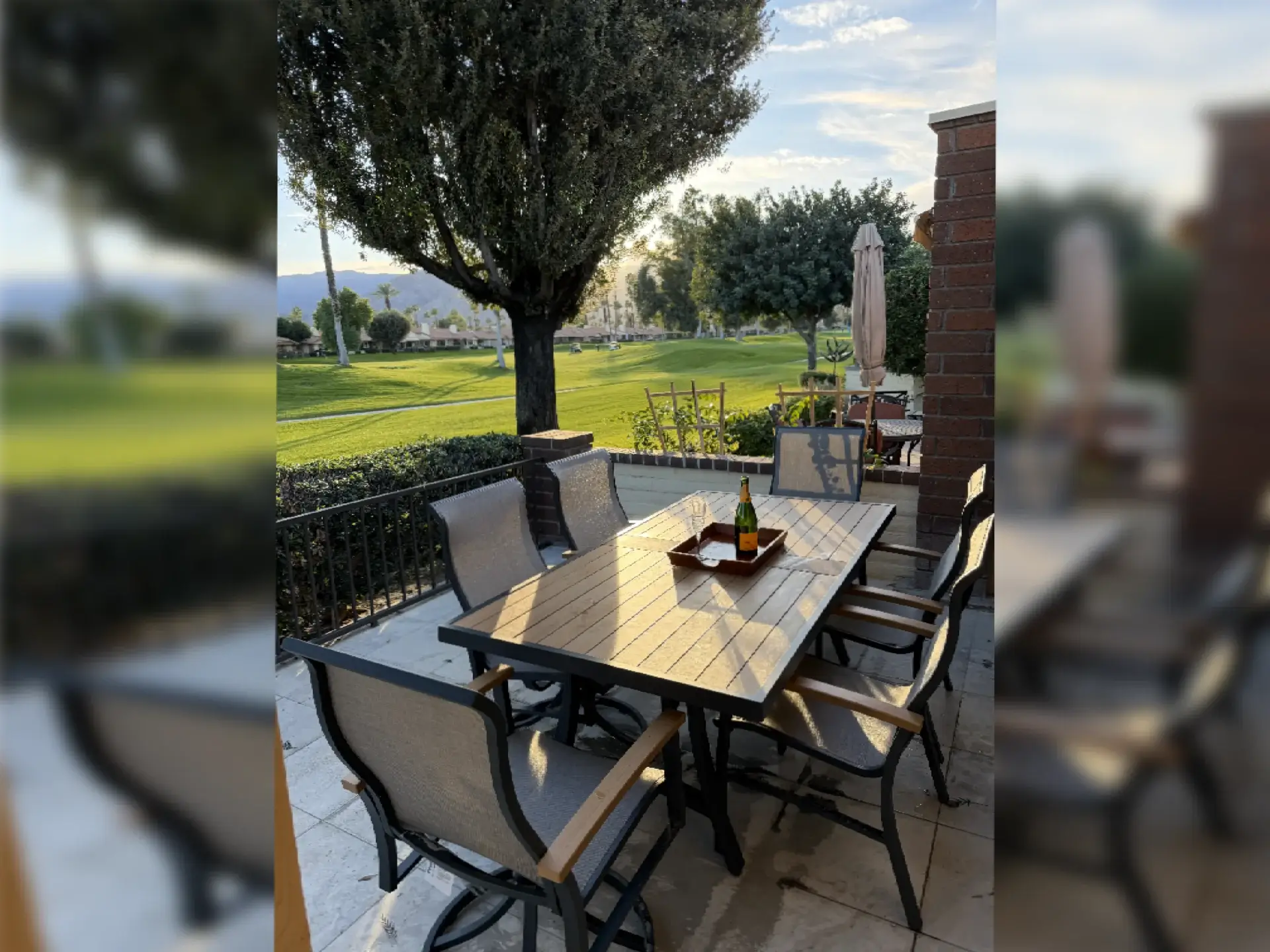 Outdoor dining table with chairs under olive trees on a patio.