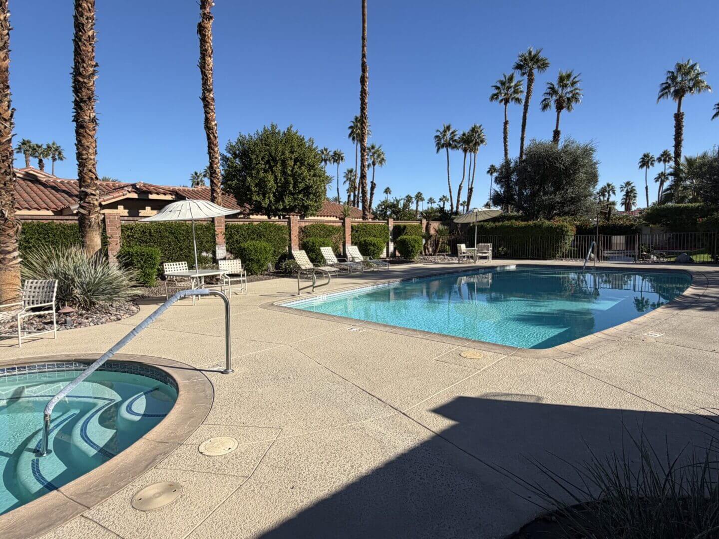 Sunny outdoor pool area with lounge chairs and palm trees.