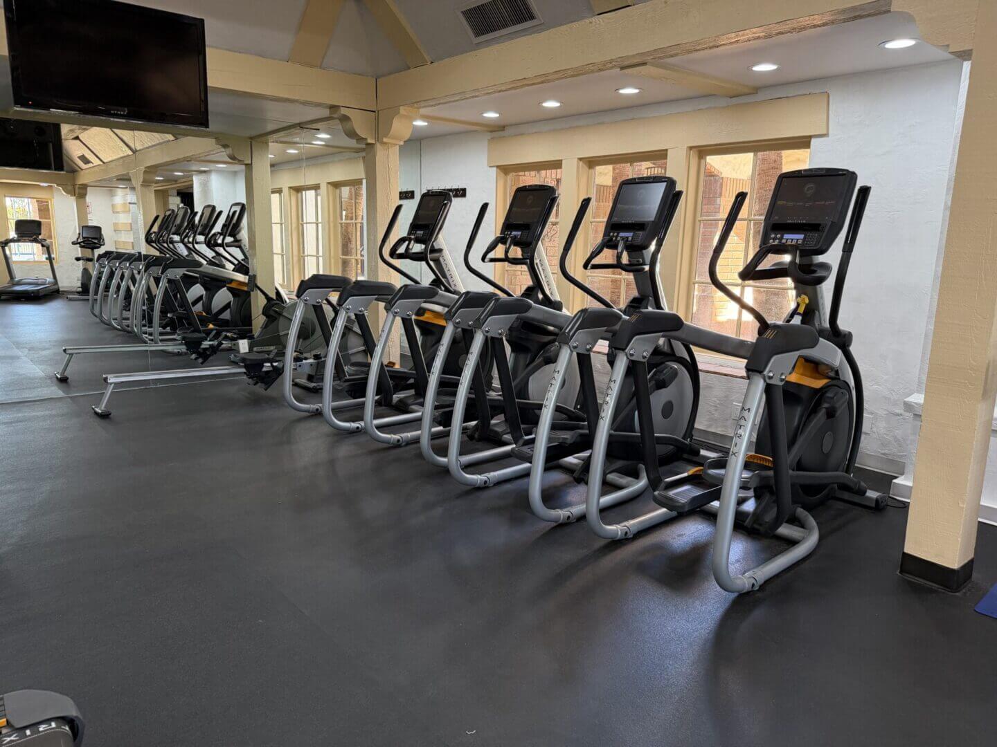 Row of elliptical machines in a modern gym room.