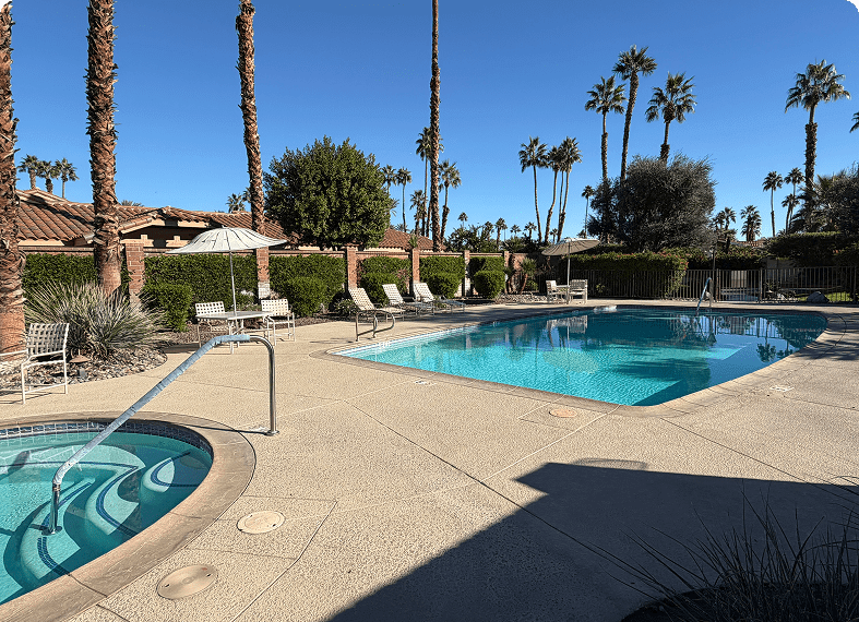 Sunny outdoor pool area with palm trees and lounge chairs.