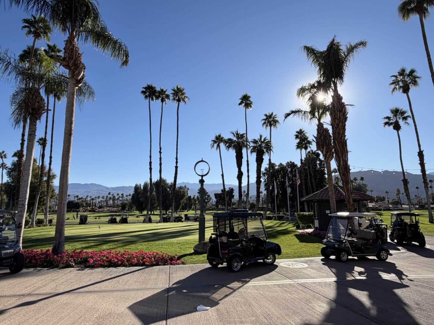 Golf carts parked near palm trees on a sunny day at a golf course.